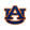 Auburn