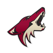 Arizona Coyotes