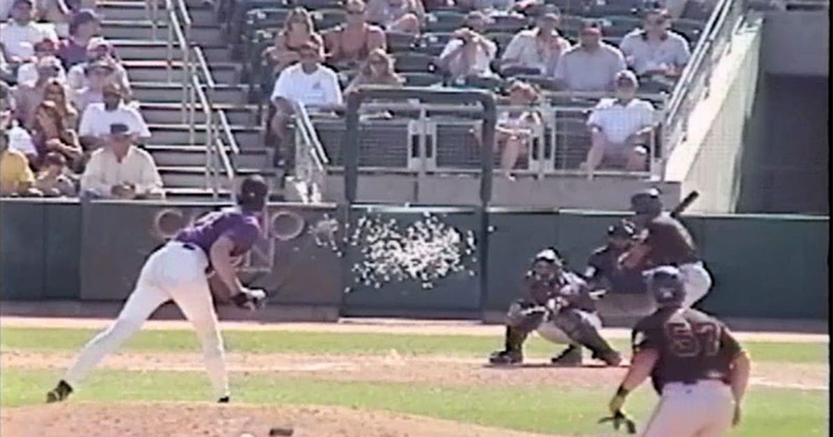 15 years ago today, Randy Johnson ended a bird's life with a fastball