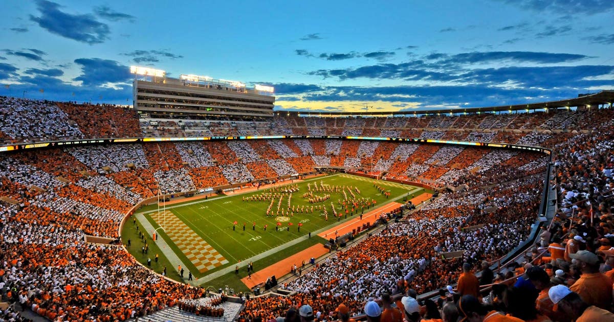 Image result for neyland stadium
