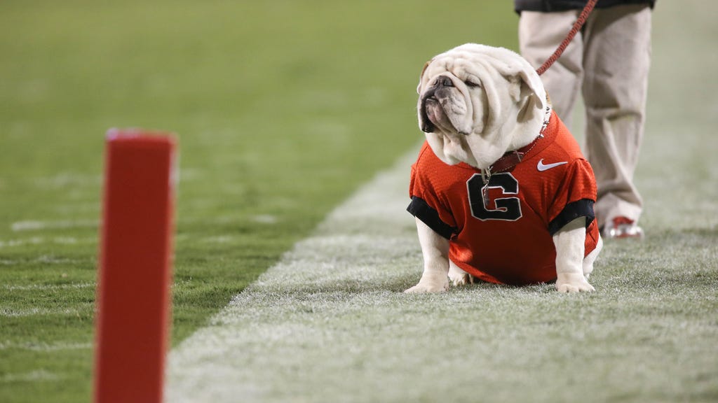 Top 25 Live Animal Mascots In College Football Fox Sports